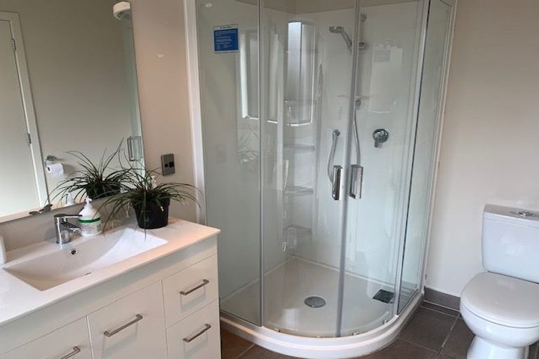 Photo of property in 60c Macfarlane Street, Hamilton East, Hamilton, 3216