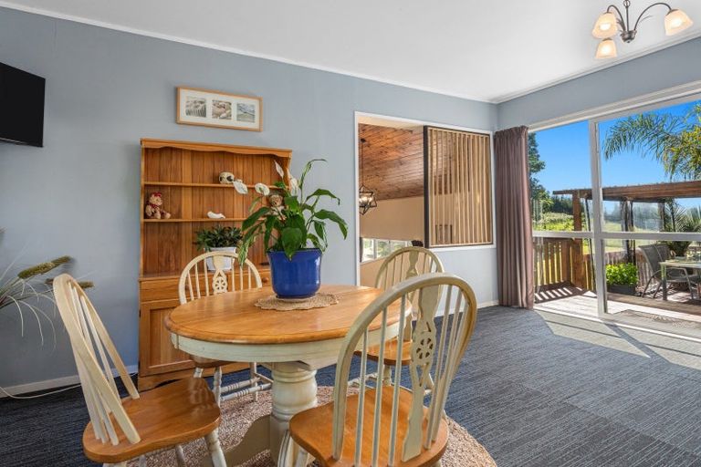 Photo of property in 113 Hogg Road, Rotoma, Whakatane, 3192