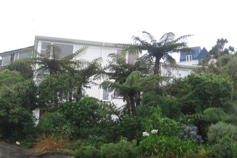 Photo of property in 53 Bedford Street, Northland, Wellington, 6012