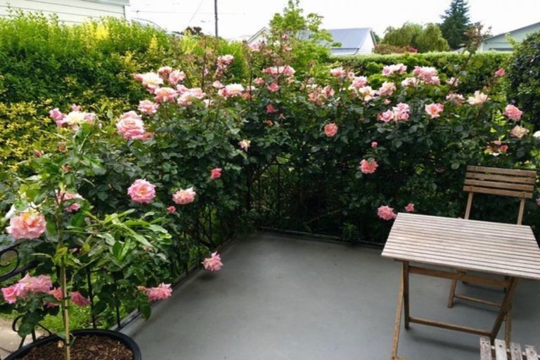 Photo of property in 8 Seddon Street, Carterton, 5713
