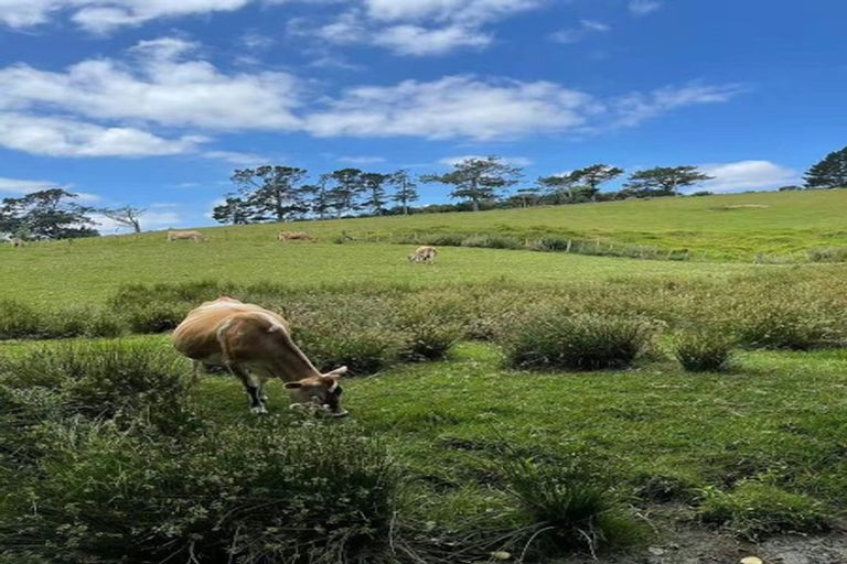 Photo of property in 654 Inland Road, Helensville, 0875
