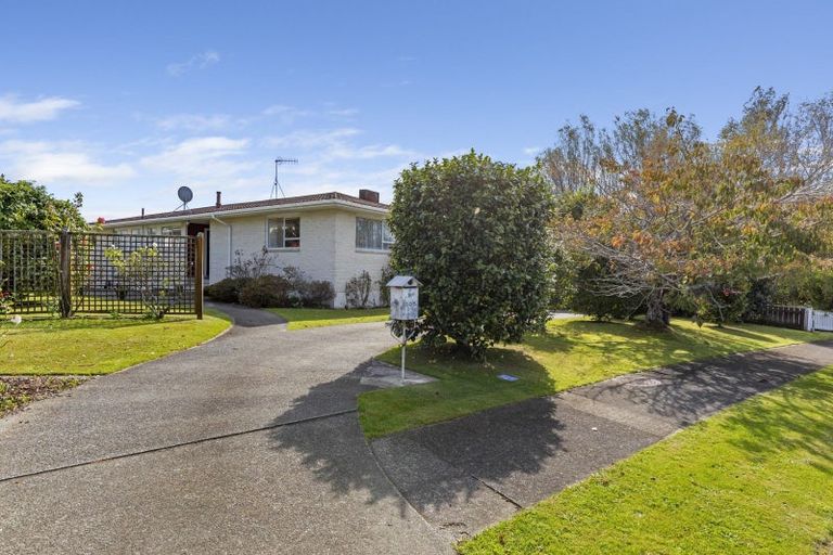Photo of property in 205 Tiro Tiro Road, Levin, 5510