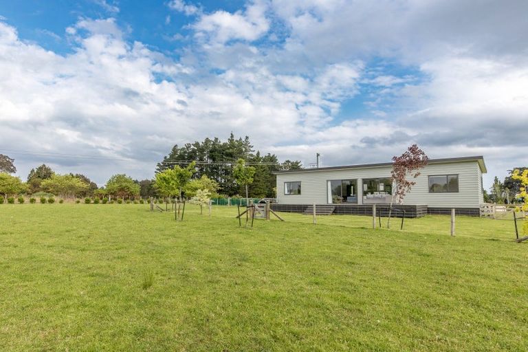 Photo of property in 12 Nelson Street, Woodville, 4997