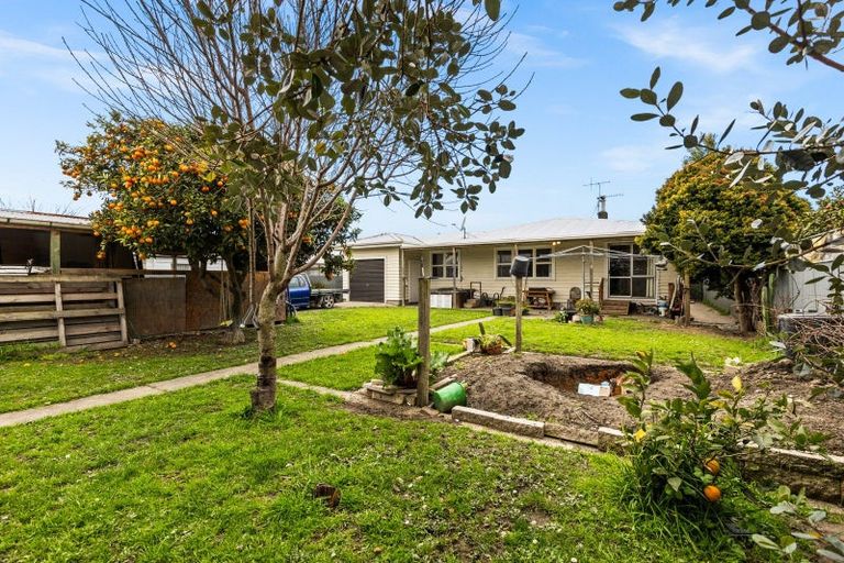 Photo of property in 24 Bill Hercock Street, Pirimai, Napier, 4112