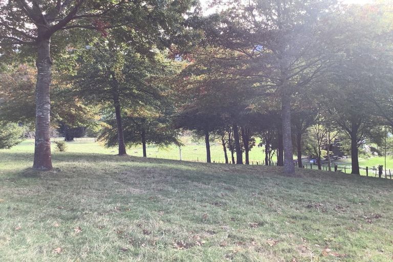 Photo of property in 759 Wakamarina Road, Wakamarina, Havelock, 7178
