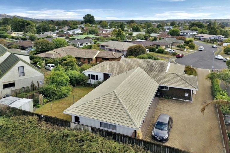 Photo of property in 16 Randell Place, Te Puke, 3119