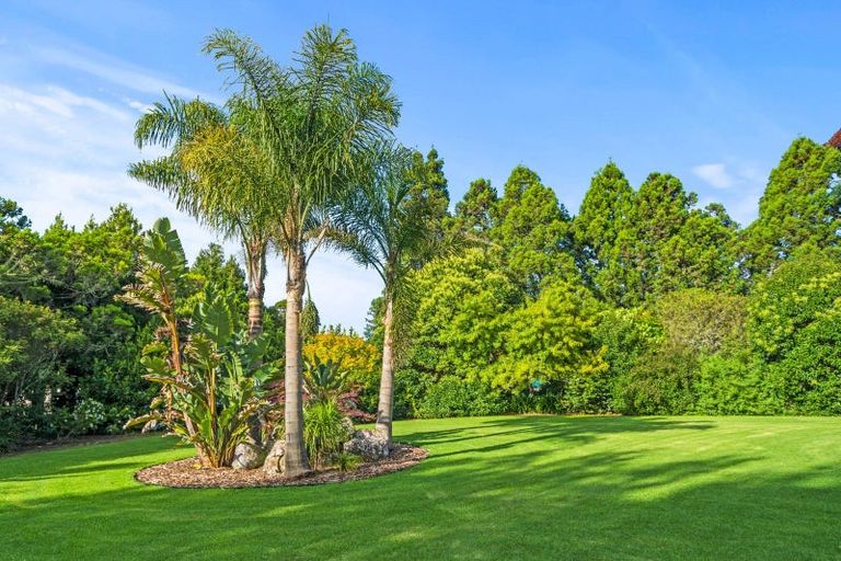 Photo of property in 611 Crane Road, Kauri, Kamo, 0185