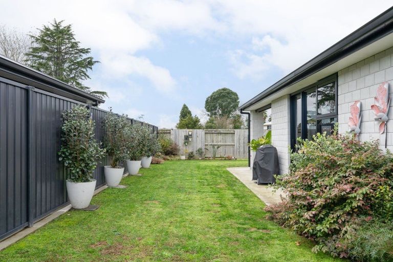 Photo of property in 5 Pourewa Lane, Matamata, 3400