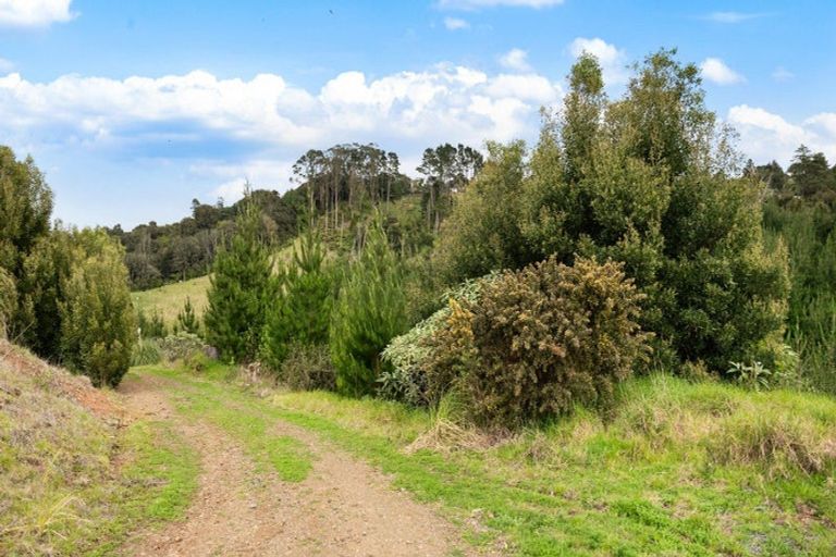 Photo of property in 80 Cameron Town Road, Pukekohe, 2678