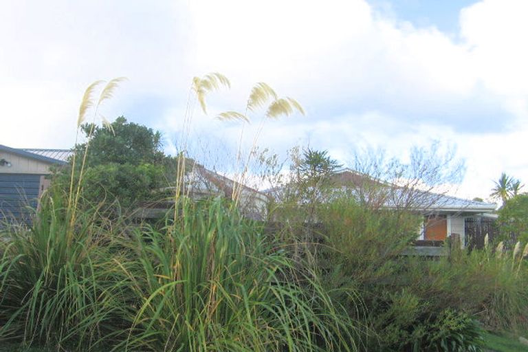 Photo of property in 247 Mitchell Street, Brooklyn, Wellington, 6021