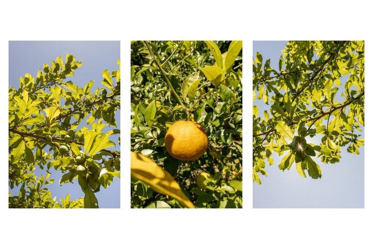 Photo of property in 266b Ngatai Road, Otumoetai, Tauranga, 3110