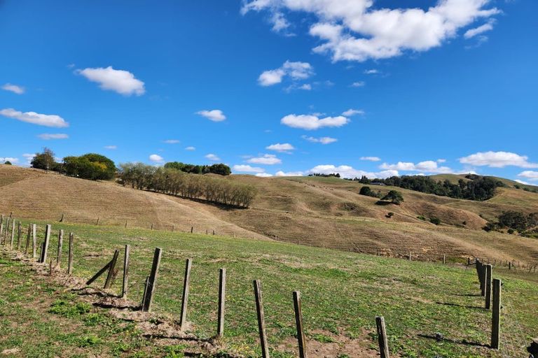 Photo of property in 1386 Buckland Road, Karapiro, Cambridge, 3496