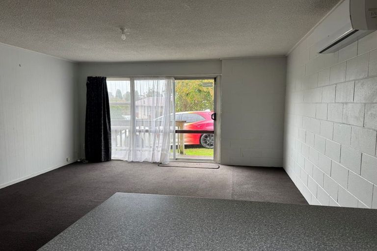 Photo of property in 105 Lake Crescent, Hamilton Lake, Hamilton, 3204