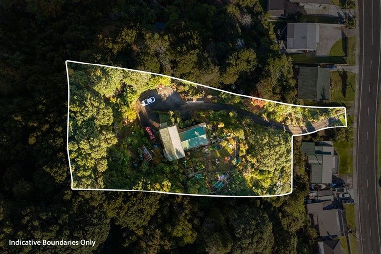 Photo of property in 642 Thames Coast Sh25 Road, Waiomu, Thames, 3575