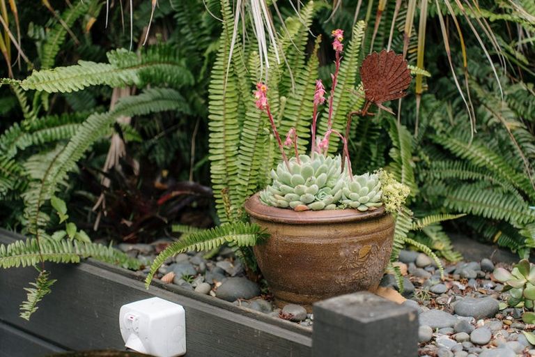 Photo of property in 17a Callis Avenue, Opaheke, Papakura, 2113