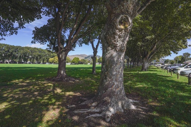 Photo of property in 17/15 Bunyan Street, Waltham, Christchurch, 8023