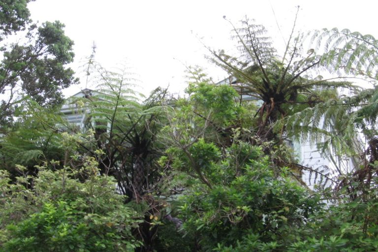 Photo of property in 14 Veronica Street, Brooklyn, Wellington, 6021