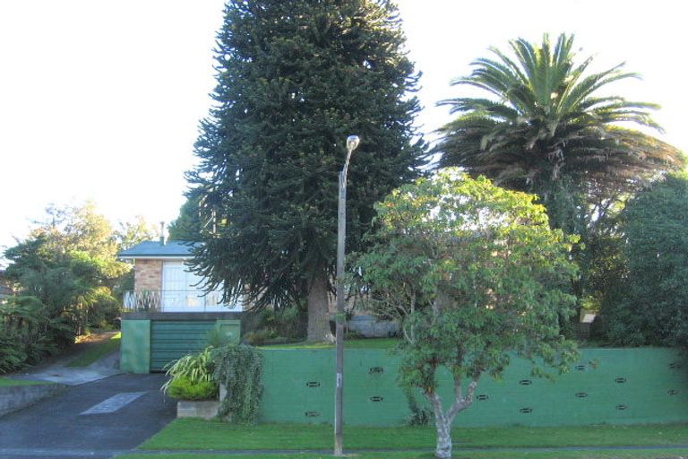 Photo of property in 64 Elizabeth Drive, Tokoroa, 3420