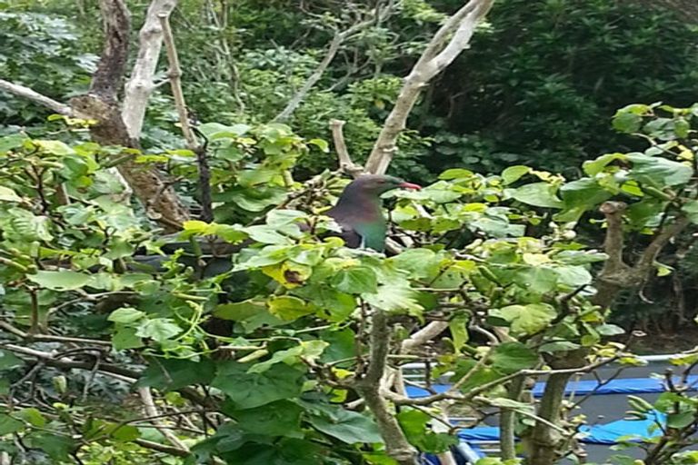 Photo of property in 126 Creswick Terrace, Northland, Wellington, 6012