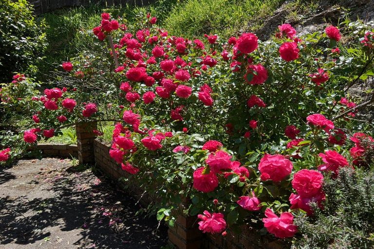 Photo of property in 16 Arahanga Grove, Maupuia, Wellington, 6022