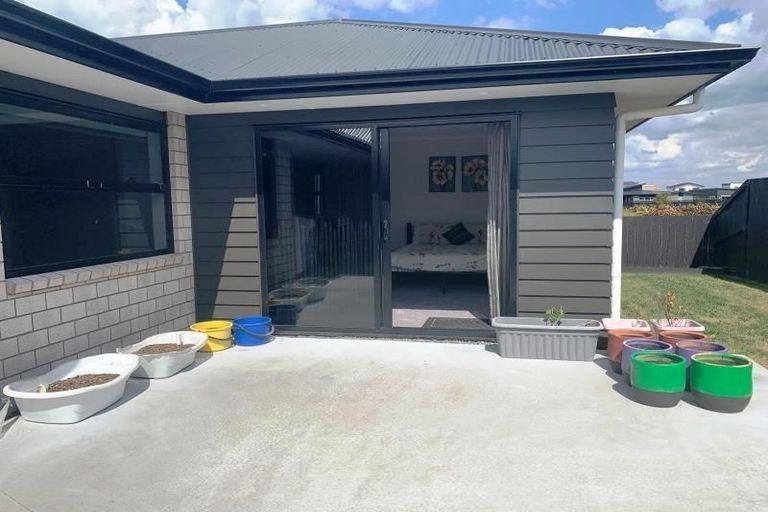 Photo of property in 41 Lulu Avenue, Chartwell, Hamilton, 3210