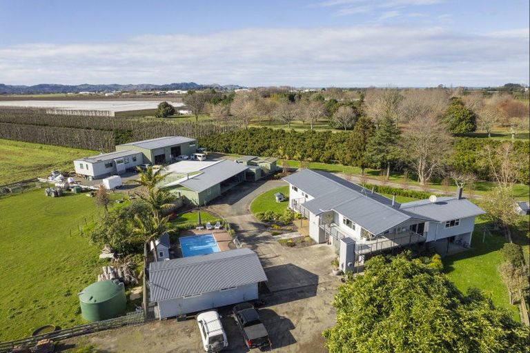 Photo of property in 693 Awapuni Road, Matawhero, Gisborne, 4071