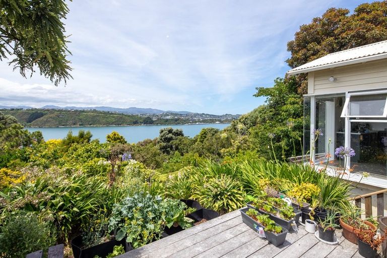 Photo of property in 58a Kainui Road, Hataitai, Wellington, 6021