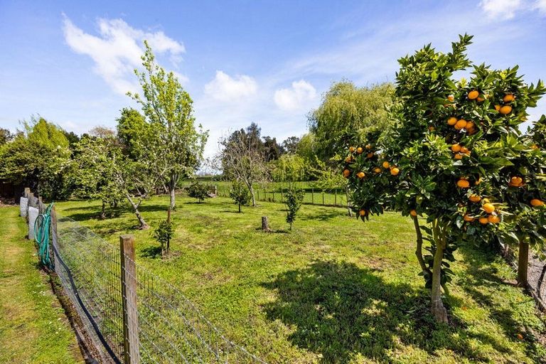 Photo of property in 815 Parallel Road, Ohaupo, 3881