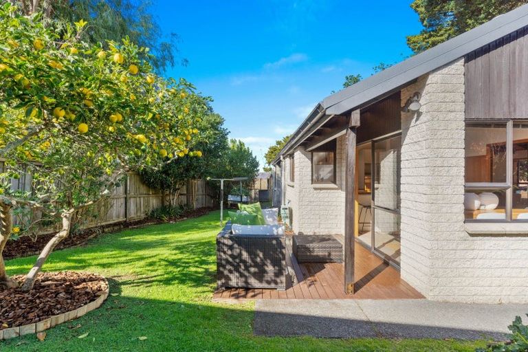 Photo of property in 5 Totara Grove, Hillcrest, Auckland, 0627