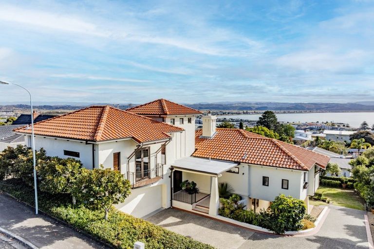 Photo of property in 22 Coleman Terrace, Hospital Hill, Napier, 4110