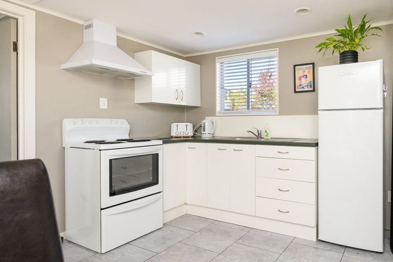 Photo of property in 101a Limbrick Street, Terrace End, Palmerston North, 4410