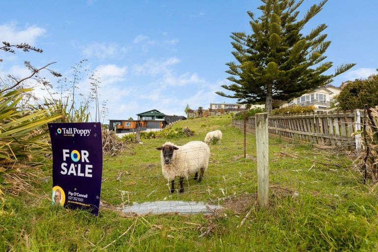 Photo of property in 7 Ashburn Street, Oamaru North, Oamaru, 9400