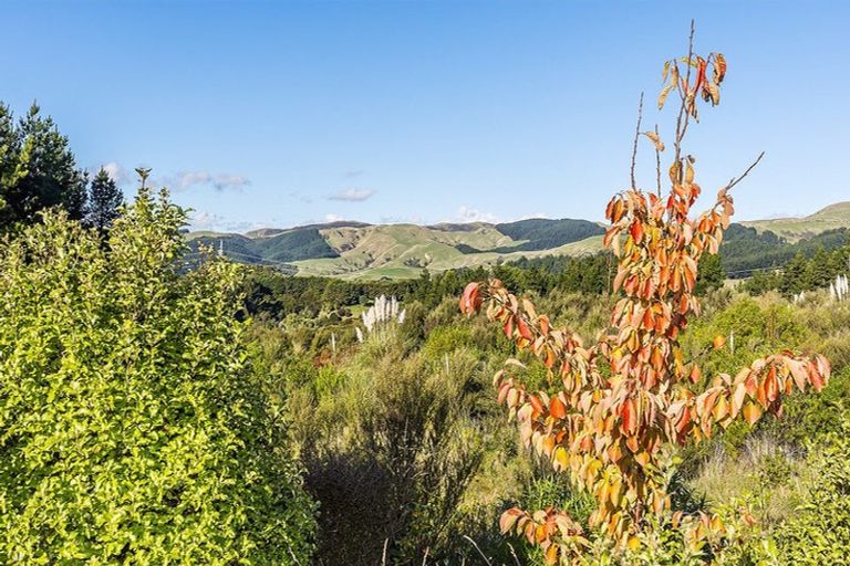 Photo of property in 88b Endeavour Drive, Whitby, Porirua, 5024