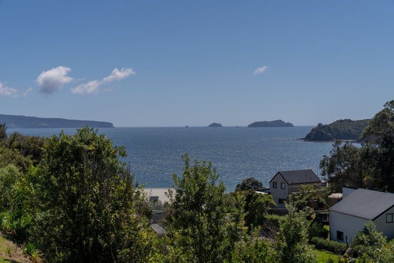 Photo of property in 29 Ohinau Drive, Opito Bay, Whitianga, 3592