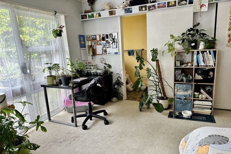 Photo of property in 349 College Street, West End, Palmerston North, 4410