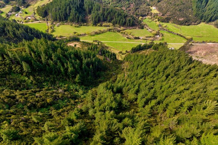 Photo of property in 895 Waikakaho Road, Tuamarina, Blenheim, 7273