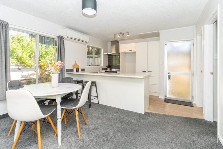 Photo of property in 48b Cook Street, Hamilton East, Hamilton, 3216