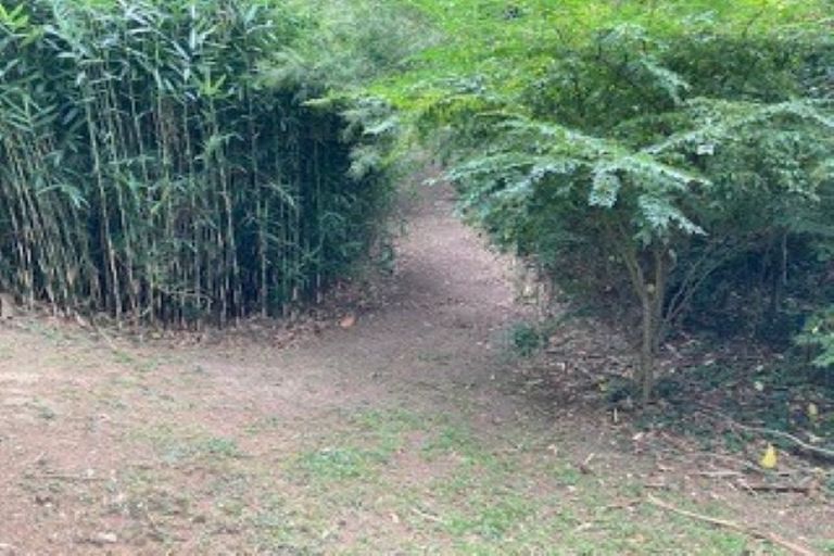 Photo of property in 11 Ron Wyatt Lane, Waiuku, 2123