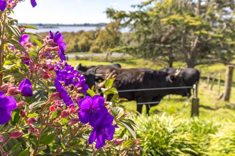 Photo of property in 319b Rotowaro Road, Huntly, 3771