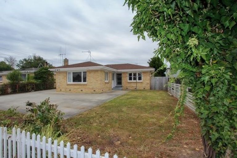 Photo of property in 4a Hogan Street, Hamilton East, Hamilton, 3216