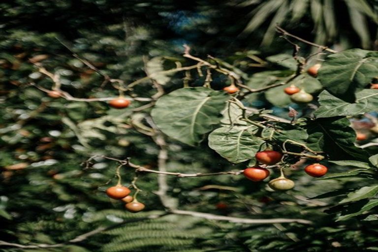 Photo of property in 269 Kaipara Road, Papakura, 2582