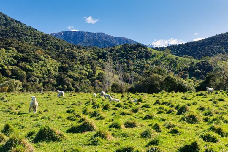 Photo of property in 53 Grange Road, Hapuku, Kaikoura, 7371