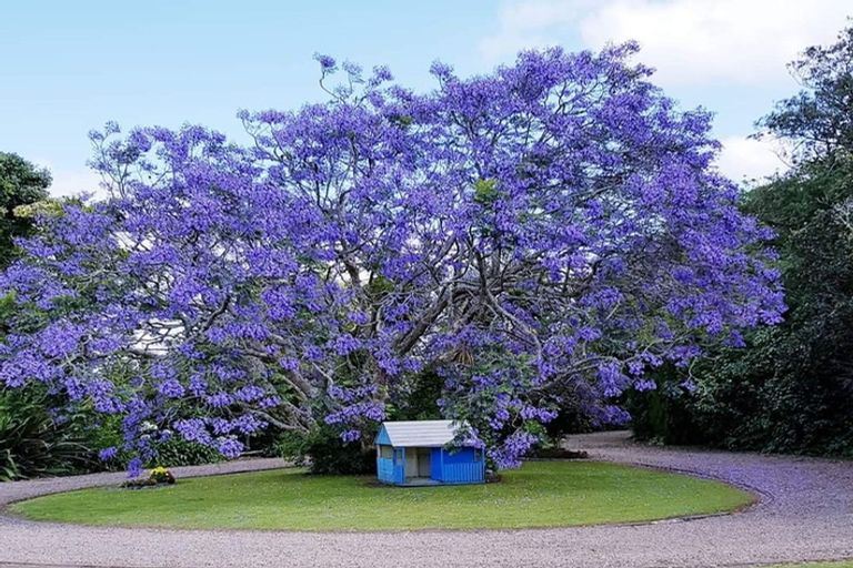 Photo of property in 15 Saint Johns Avenue, Tuakau, 2121