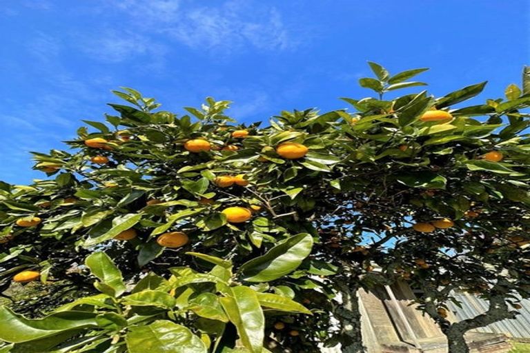 Photo of property in 29 Manapouri Street, Tikipunga, Whangarei, 0112