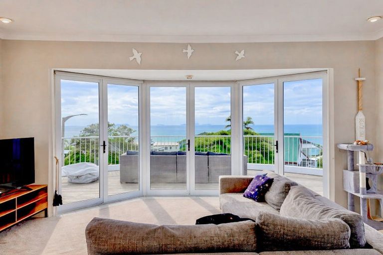 Photo of property in 442 Onemana Drive, Onemana, Whangamata, 3691