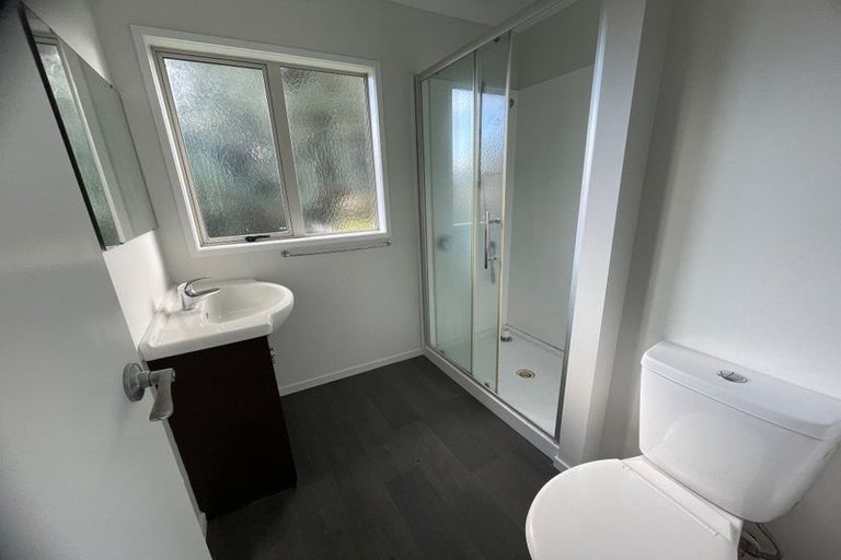 Photo of property in 56 Pine Avenue, Melville, Hamilton, 3206