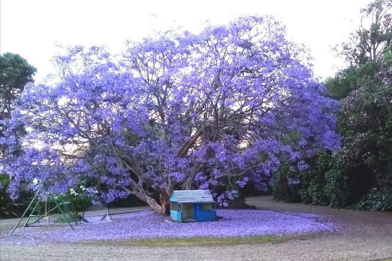 Photo of property in 15 Saint Johns Avenue, Tuakau, 2121