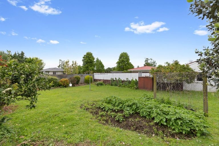 Photo of property in 10 Clarke Avenue, Te Aroha, 3320