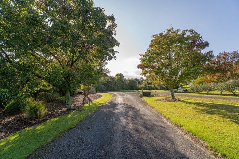 Photo of property in 995f Purangi Road, Cooks Beach, Whitianga, 3591