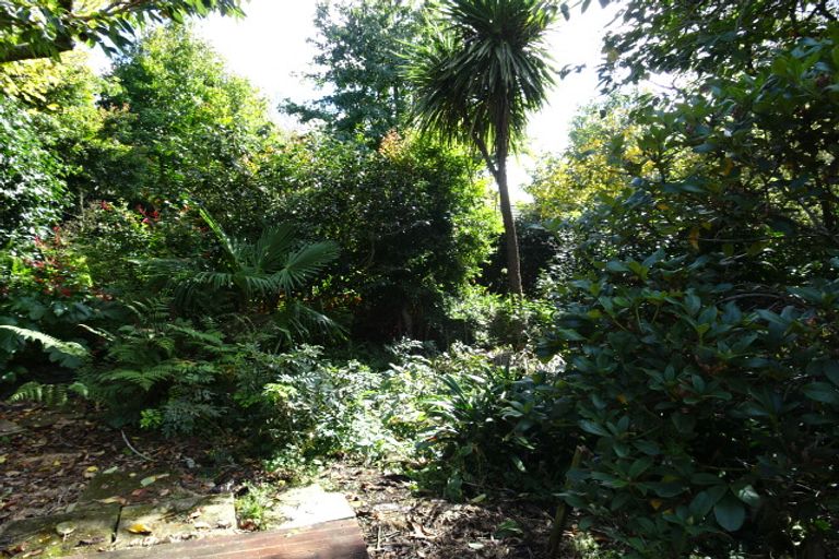 Photo of property in 55r Hollister Lane, Ohauiti, Tauranga, 3112